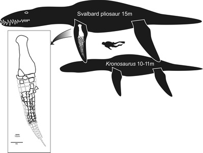 Jurassic Giant: Norway Pliosaur Largest Marine Reptile Ever Found?